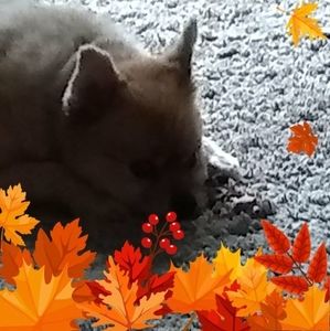 Meet your Posher, Deb